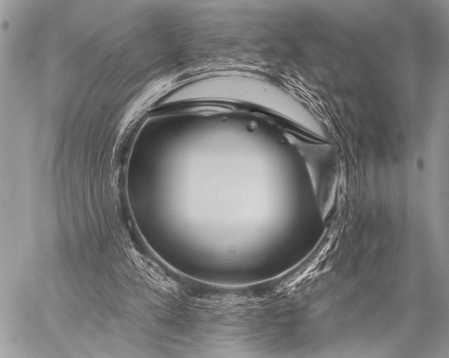 X0000058830197200510171626