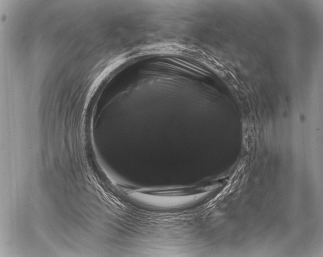 X0000058830200200510171626