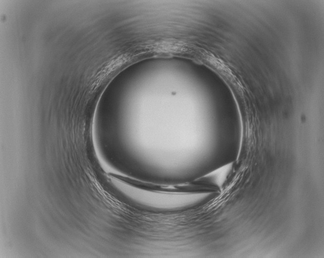 X0000058830201200510171626