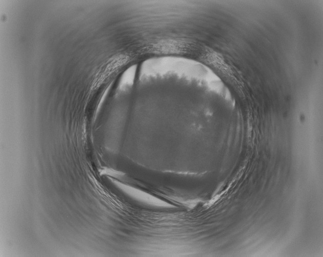 X0000058830202200510171626