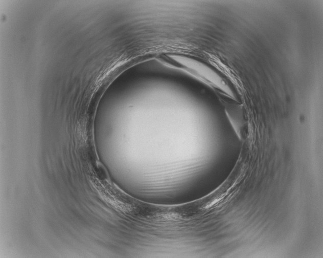 X0000058830203200510171626