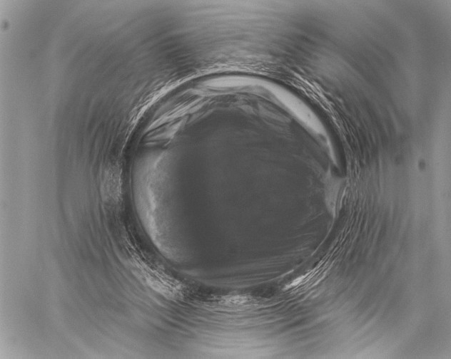 X0000058830204200510171626