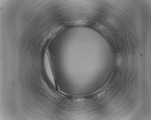 X0000058830206200510171626