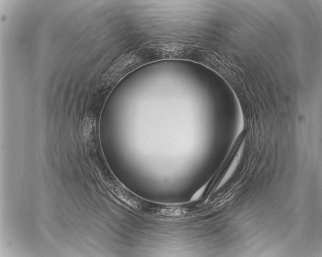 X0000058830225200510171625