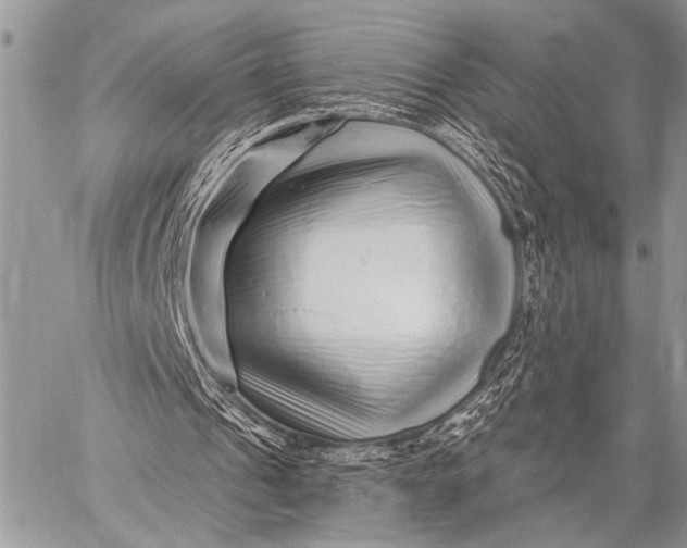 X0000058830241200510171624