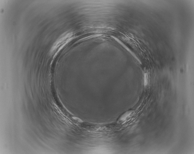 X0000058830243200510171624
