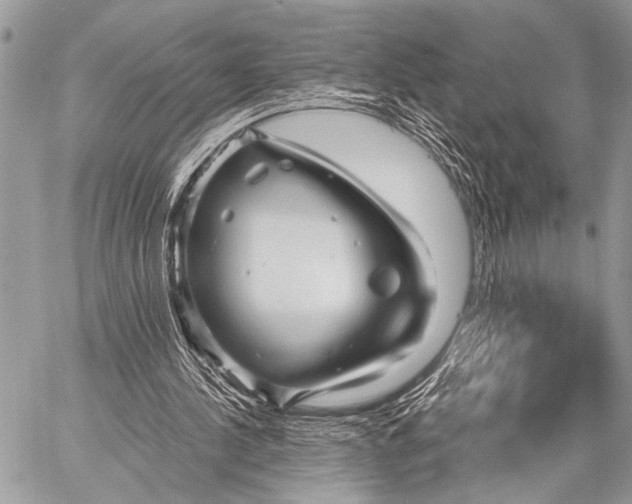 X0000058830244200510171624