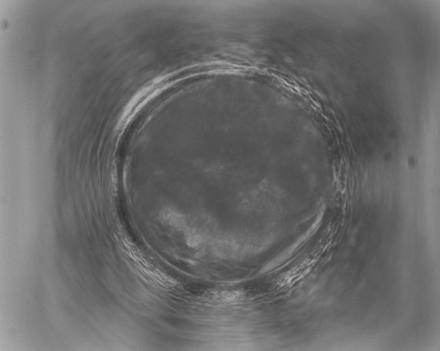 X0000058830247200510171624