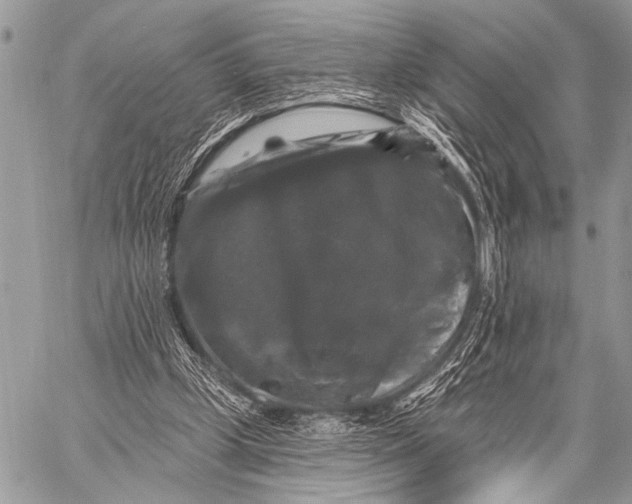 X0000058830249200510171624