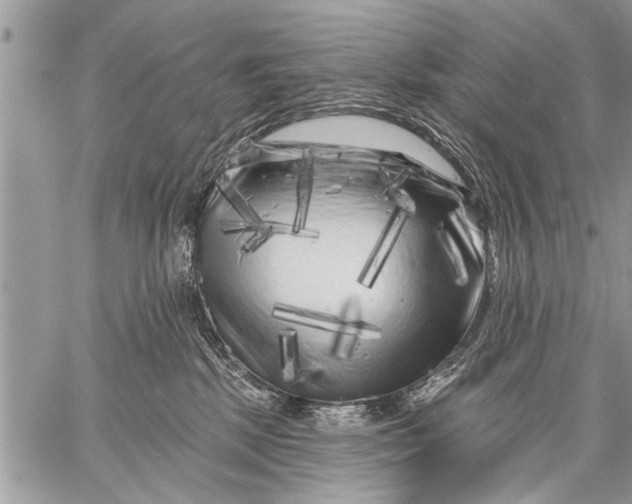 X0000058830281200510171625