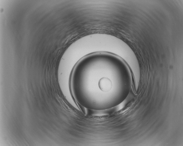 X0000058830287200510171625