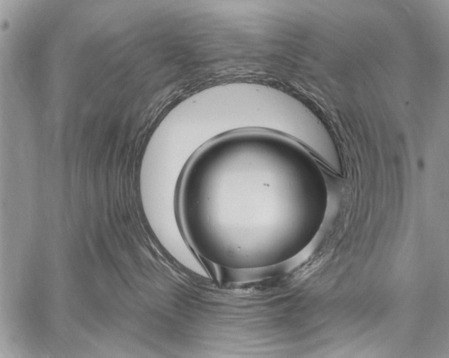 X0000058830288200510171625