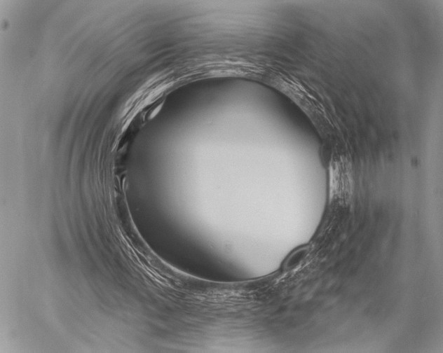 X0000058830291200510171624