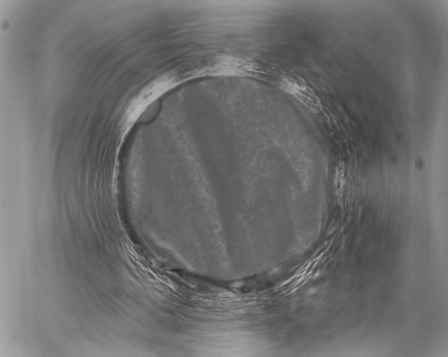 X0000058830292200510171624