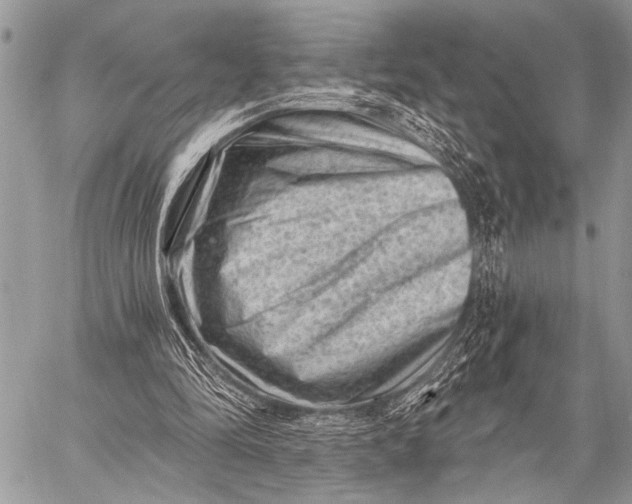 X0000058830294200510171624