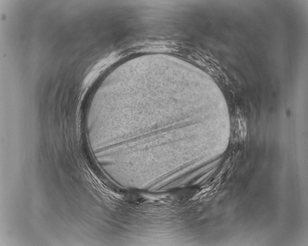 X0000058830296200510171624