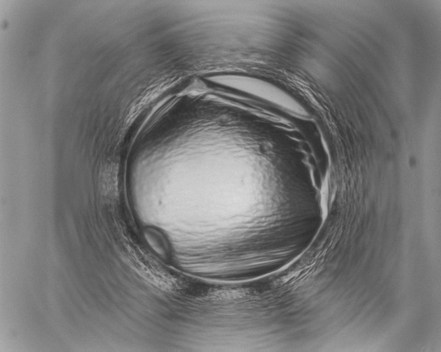 X0000058830299200510171624