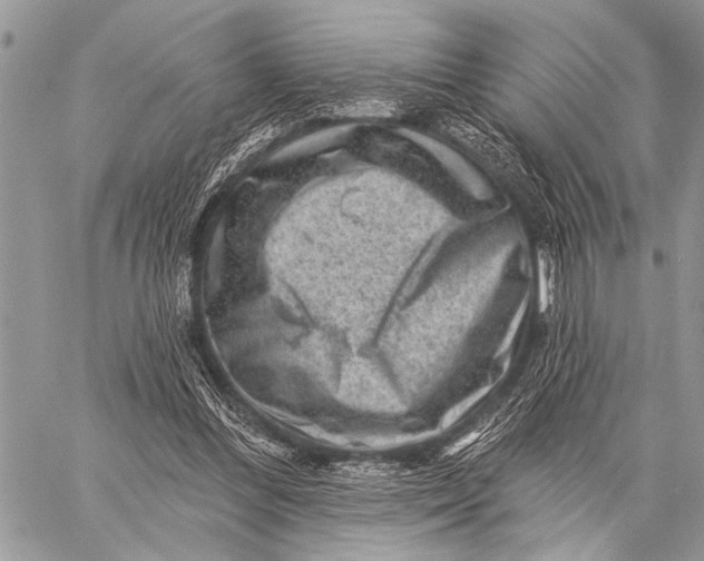 X0000058830300200510171624