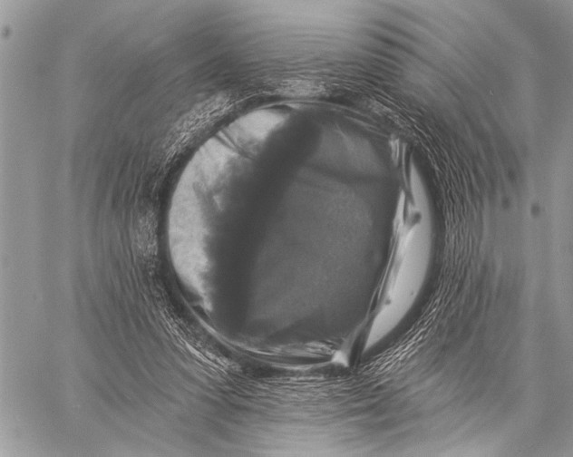 X0000058830303200510171624