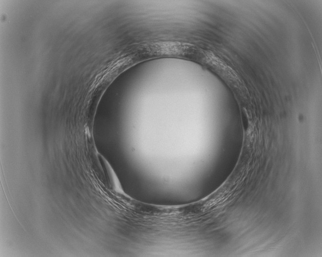 X0000058830306200510171624