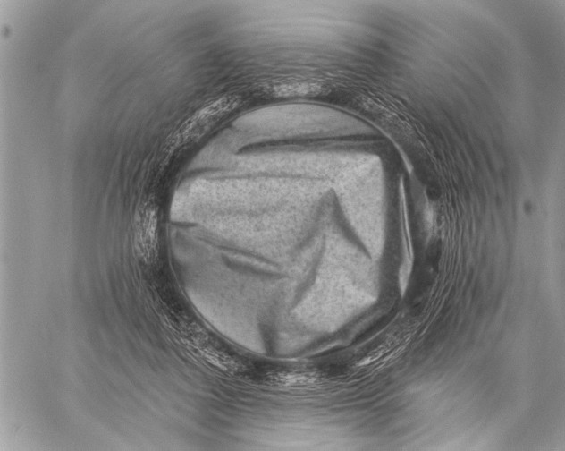 X0000058830308200510171624