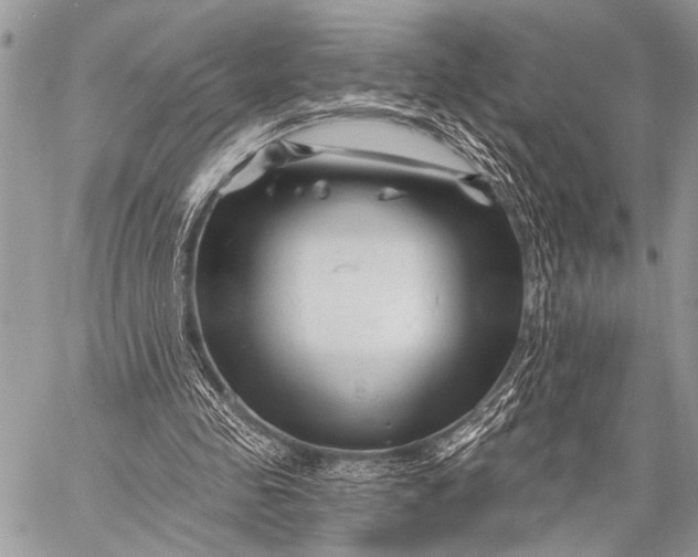 X0000058830341200510171623