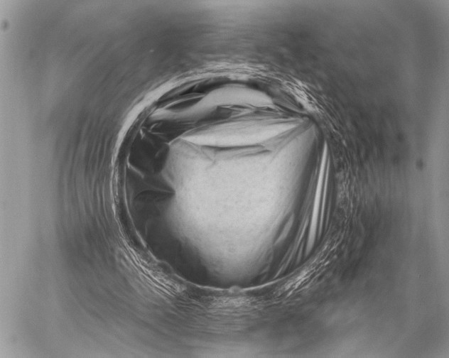 X0000058830342200510171623