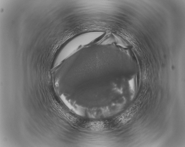 X0000058830353200510171623