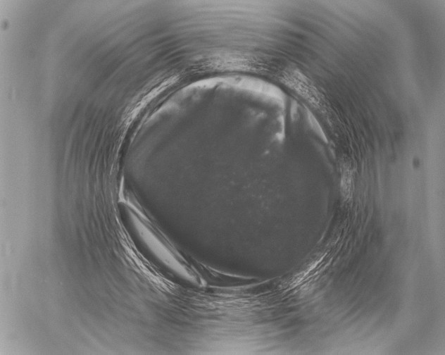 X0000058830390200510171623
