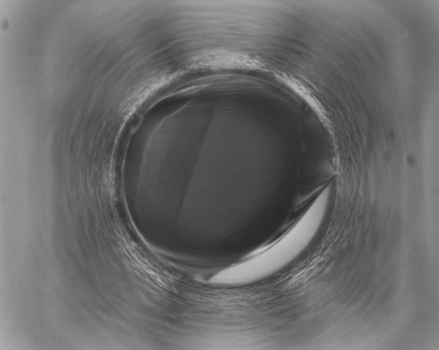 X0000058830391200510171623