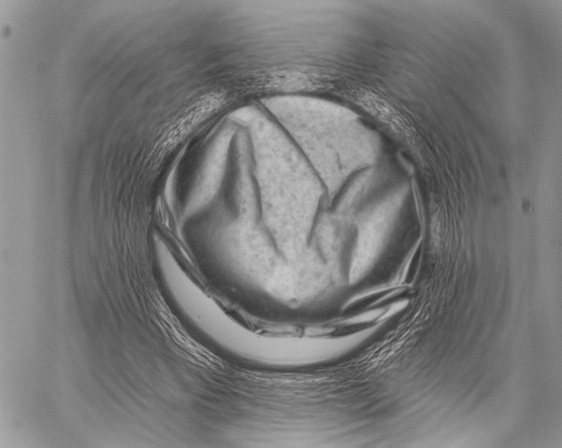 X0000058830393200510171623