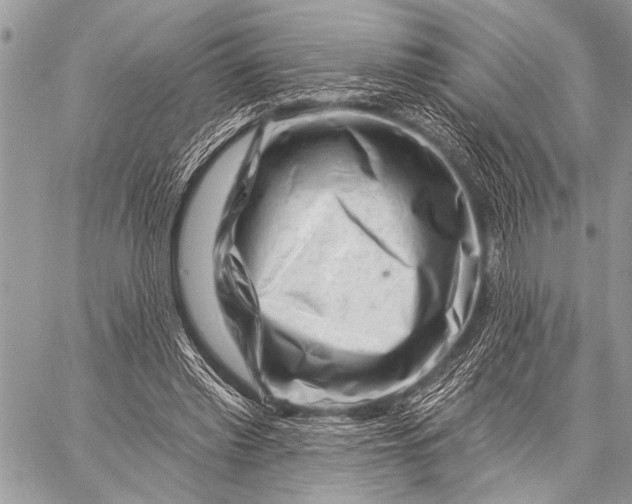 X0000058830397200510171623