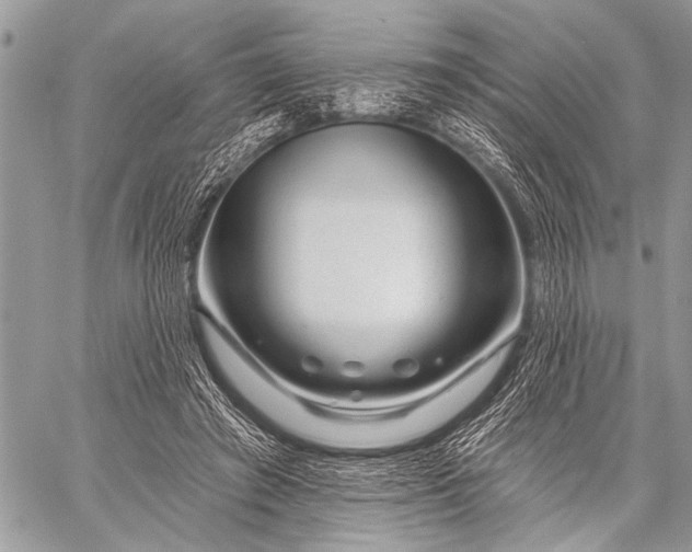 X0000058830401200510171622