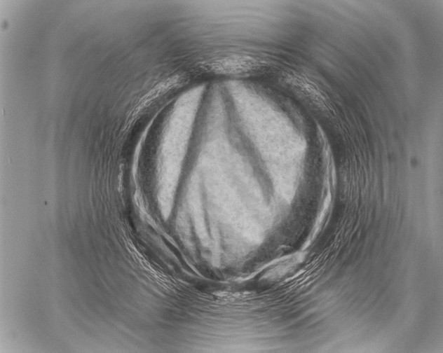 X0000058830404200510171622