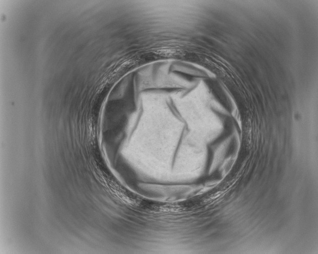 X0000058830420200510171622