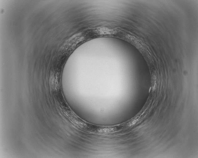 X0000058830422200510171622
