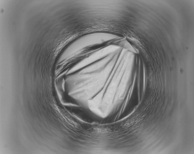 X0000058830442200510171621