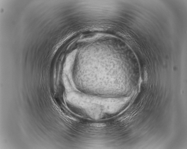 X0000058830444200510171621