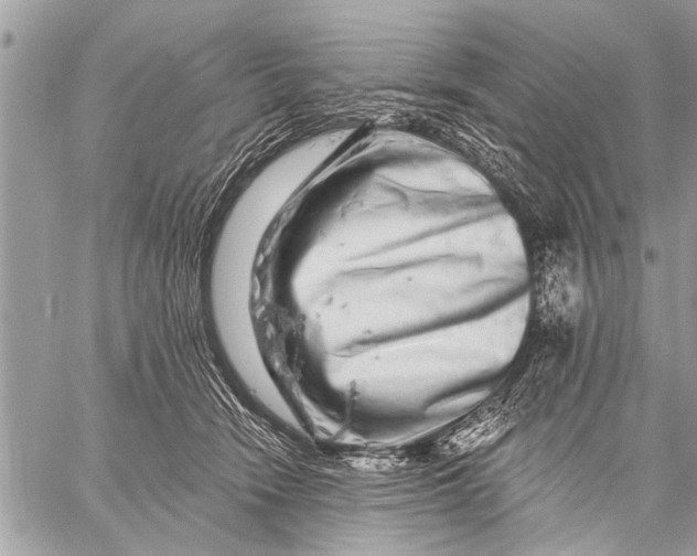 X0000058830466200510171622