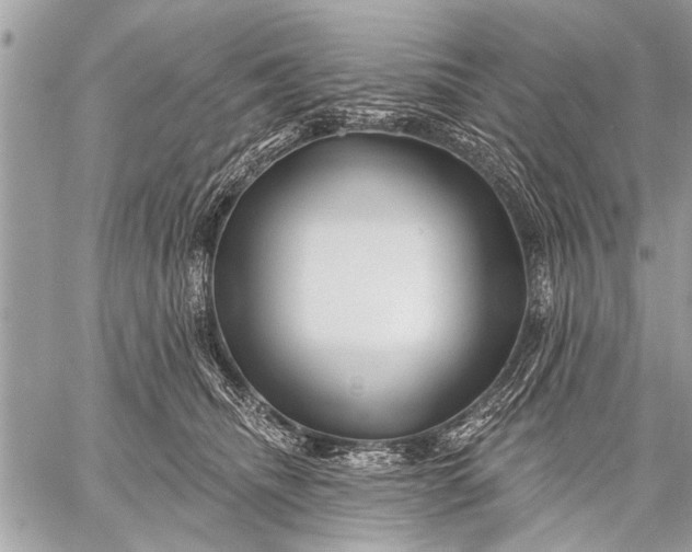 X0000058830468200510171622