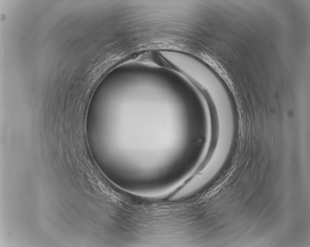 X0000058830481200510171621