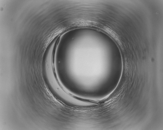 X0000058830485200510171621