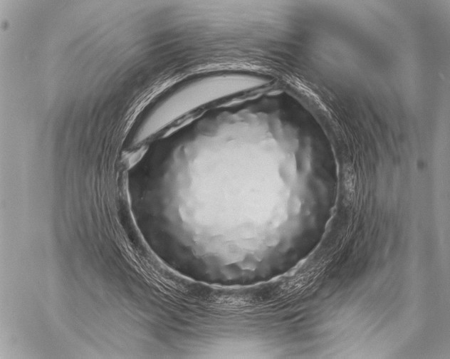 X0000058830487200510171621