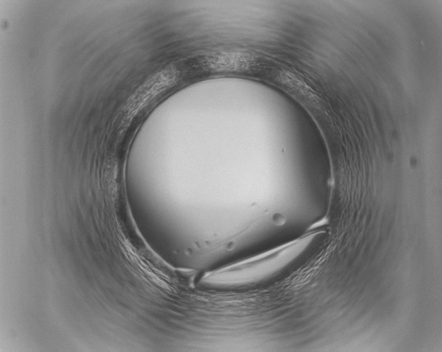 X0000058830490200510171621