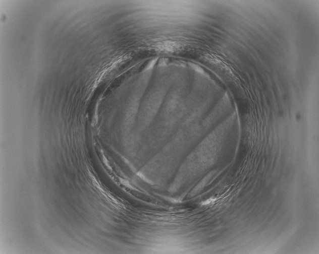 X0000058830496200510171621
