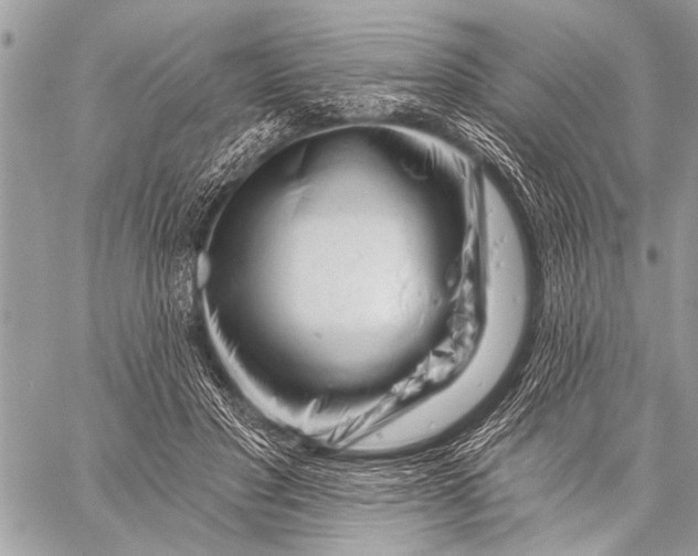 X0000058830501200510171621