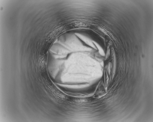 X0000058830513200510171620