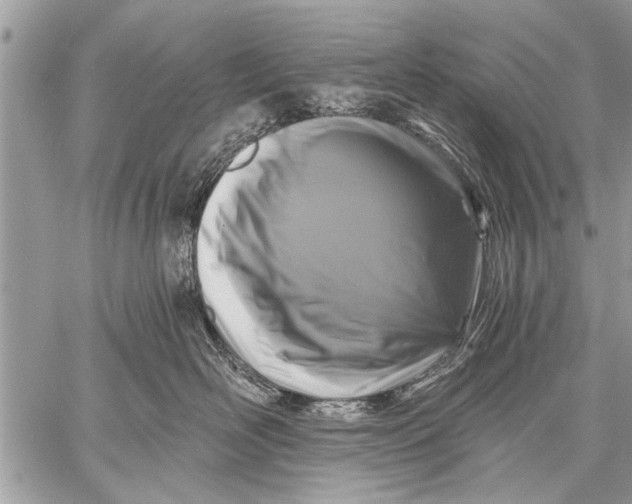 X0000058830526200510171620
