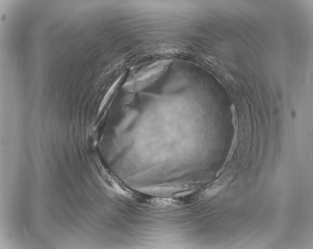 X0000058830528200510171620