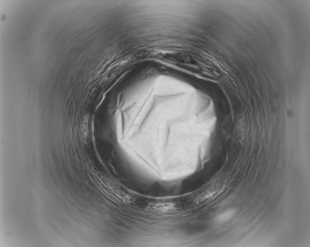 X0000058830554200510171620